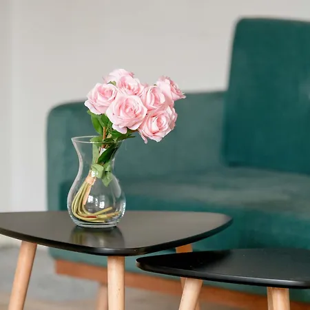 Apartment Kopernika Stylowy W Centrum Poznania By Renters